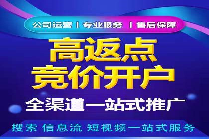 竞价排名关键词优化实战案例分析